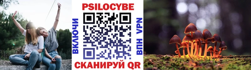 дарк нет клад  Грязи  Псилоцибиновые грибы мухоморы 